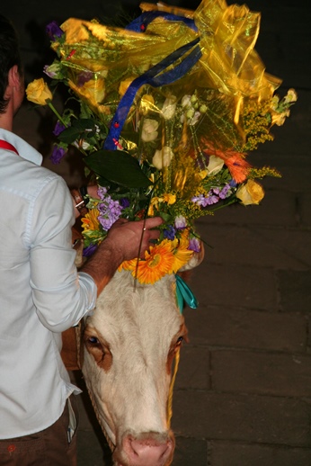 мастер класс по созданию цветочных венков для коров